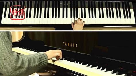 学钢琴入门指法练习视频 5天迅速熟悉钢琴节拍_腾讯视频