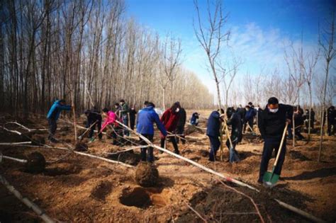 吉林省今春造林绿化168万亩 义务植树3204万株