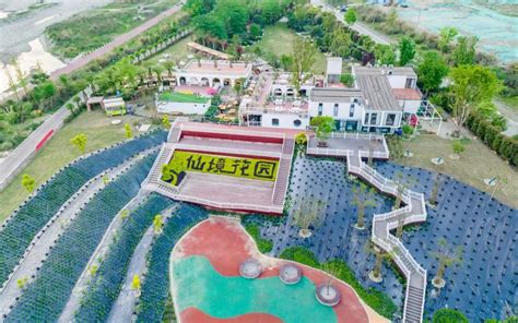 晨读温江 | 温江成为西部首个国家园艺标准化示范区