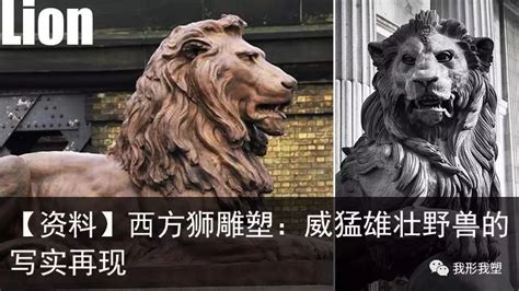 《黄飞鸿之西域雄狮》粤语版，还是李连杰以前的动作电影好看_新浪新闻