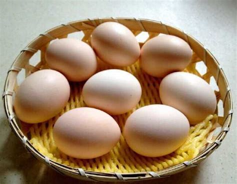 怎么选真正好吃的土鸡蛋？正宗桃园散养土鸡蛋__财经头条
