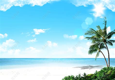 海滩椰子树背景素材免费下载 - 觅知网