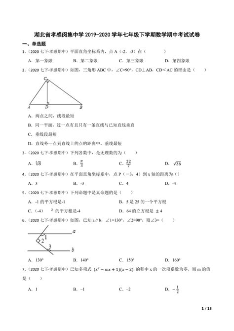 【精品解析】湖北省孝感闵集中学2019-2020学年七年级下学期数学期中考试试卷-21世纪教育网