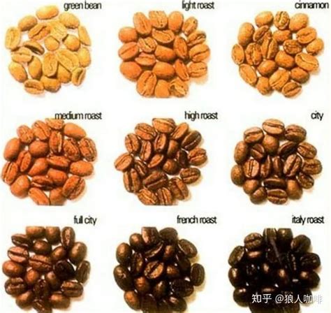 佛罗娜咖啡主题教室咖啡豆故事 意式咖啡豆如何选择咖啡风味 中国咖啡网