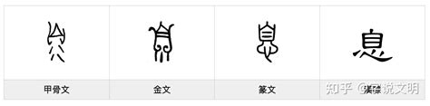 息——每日一字·心部字 - 知乎