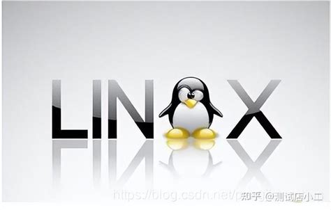 Linux运维宝典：最常用的150个命令汇总_慕课手记