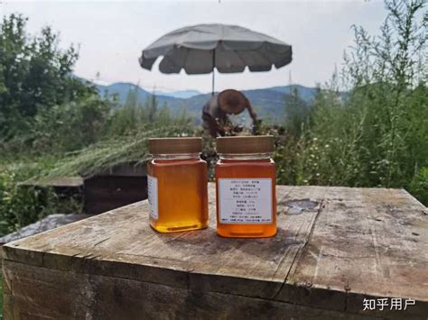 怎样从野蜂窝里取蜂蜜（取野蜂蜜技巧）