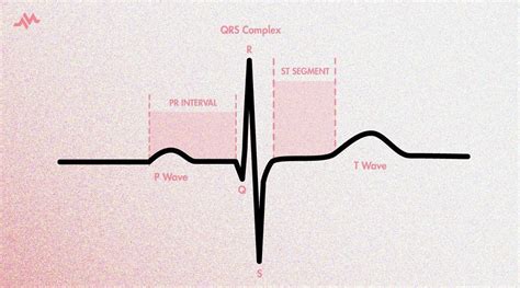 心电生理学 - 心电图上的心动周期（P-QRS-T波）……|医学_新浪新闻