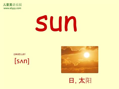 单词sun