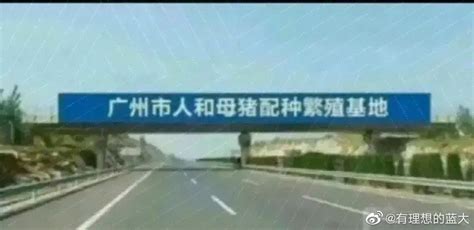 广州市人和镇 母猪配种繁育基地的广告牌|广州市_新浪新闻