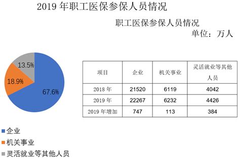 2019年全国医疗保障事业发展统计公报 -湖北省医疗保障局