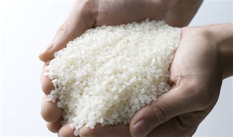 大米的供应和价格稳定 - 国际日报