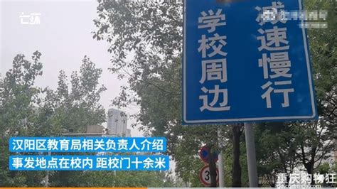 “武汉小学生校内被撞致死”细节披露：小孩去车前捡纸飞机时被撞倒，被前后轮碾轧_凤凰网