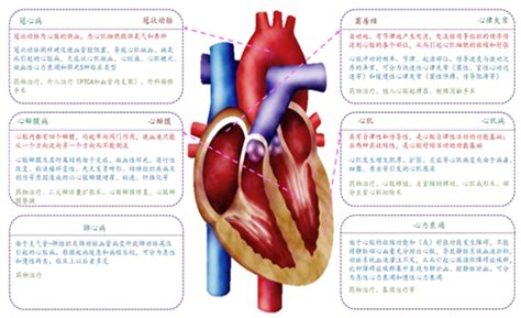 董念国：从心脏移植到人工心脏，一条心衰外科治疗的临床实践与创新之路 -- 严道医声网