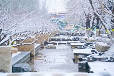 北京今日迎初雪较往年更早 局地甚至有暴雪 国内要闻 烟台新闻网 胶东在线 国家批准的重点新闻网站
