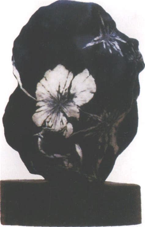 菊花石原石图片