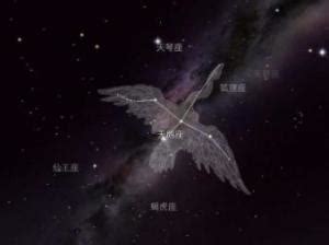 天鹅座图片