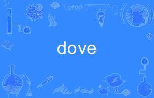 dove（英文单词） - 搜狗百科