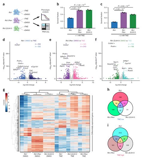 生物医药靶点赛道：p53 p53 的生理作用 由“抑癌基因” TP53 转录出的 p53 蛋白是人类生理健康的“守护者”，其任务是根据致癌基因 ...