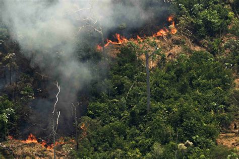 火灾持续三周 亚马逊雨林满目疮痍