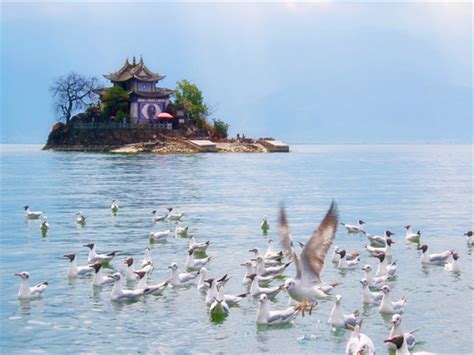 云南最好玩的22个旅游景点排名