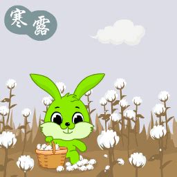 兔年唐姓女宝宝取名 - 玉三网