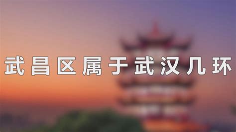 武汉市太平洋人行天桥——【老百晓集桥】