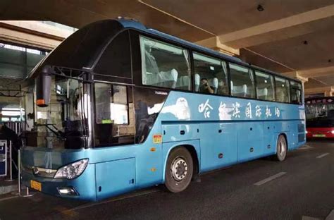 哈尔滨市区内机场巴士全部恢复正常运行-东北网黑龙江-东北网