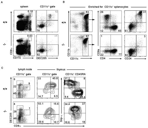 Batf3 deficiency reveals a critical role for CD8alpha+ dendritic cells ...