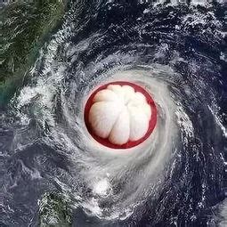 【图】台风的名字是怎么命名的？ - 装修保障网