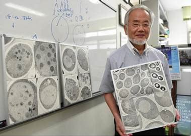 大隅良典：细胞自噬机制的发现-深圳技术大学药学院