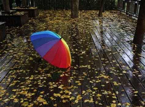 秋雨的诗句-秋雨的诗句,秋雨,诗句 - 早旭阅读