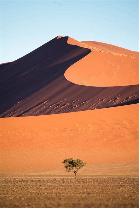 【地理素养】纵沙垄/新月形沙丘/抛物线沙丘/金字塔沙丘，沙漠中的地下海洋，为什么迟迟不开采？|金字塔|沙漠_新浪新闻