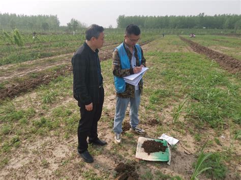 武汉农业集团成立“国企联村”专家库_微视_掌上武汉手机客户端