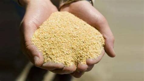 USDA报告之后豆粕价格是否已经转势？|豆粕|大豆|美豆_新浪财经_新浪网