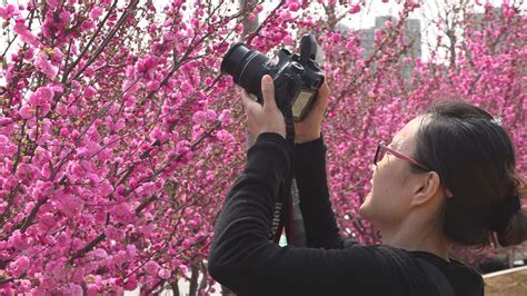 《春暖花开》|摄影|风光摄影|小可厮人 - 原创作品 - 站酷 (ZCOOL)