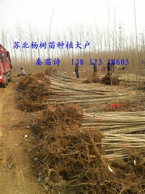未明码标价！扬州7家农贸、批发市场经营户被处罚！_价格