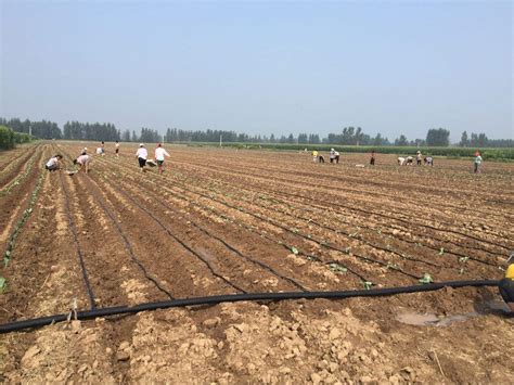 节水灌溉的发展已经不可或缺_节水灌溉设备_四川优沃灌溉设备有限公司