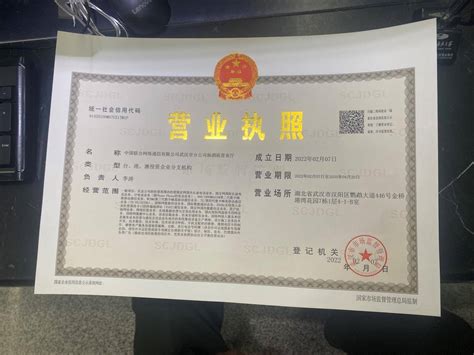 武汉局公司名称申请条件和流程_公司注册、年检、变更_第一枪
