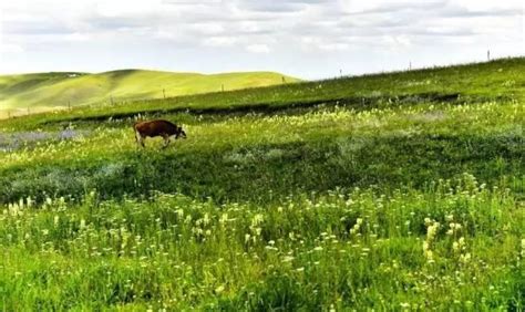 乌苏乌拉斯台草原，一个美丽、神奇而充满梦幻的地方