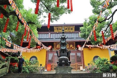 终于等到你！法喜寺500年古玉兰开了，杭州还有这些寺庙里的玉兰也正值颜值巅峰