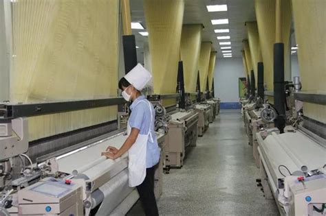 聚焦针织绿色发展，“纺织之光”今年首场科技推广活动在上海举行-纺织服装周刊