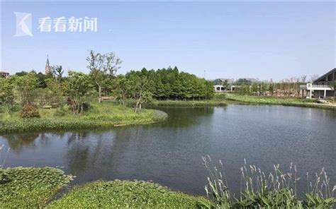 汇思想 _ 上海长兴岛首个湿地公园一期工程完工