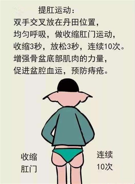 正确提肛方法图解图片