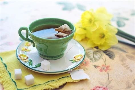 天热喝什么茶，夏季养生喝这6种茶最好-参考经验网