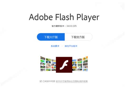 Flash Player大厅版和官方版有何不同?应如何安装?_凤凰网