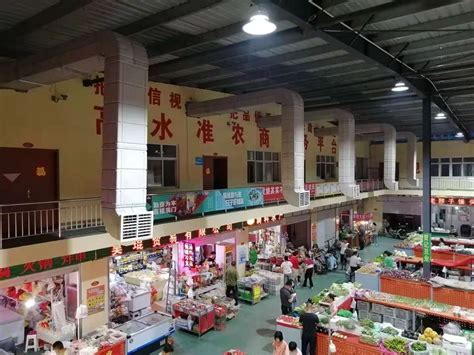 河北邯郸南大堡市场大量供应优质芹菜 - 绿果网