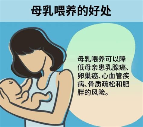 婴儿哺乳（如何实现母乳喂养）-幼儿百科-魔术铺