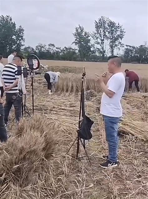 网红扎堆到麦地直播，帮忙还是添乱…媒体：农民的苦，不是流量的噱头