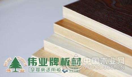 伟业牌板材与你分享：影响生态板价格的因素有哪些-中国木业网